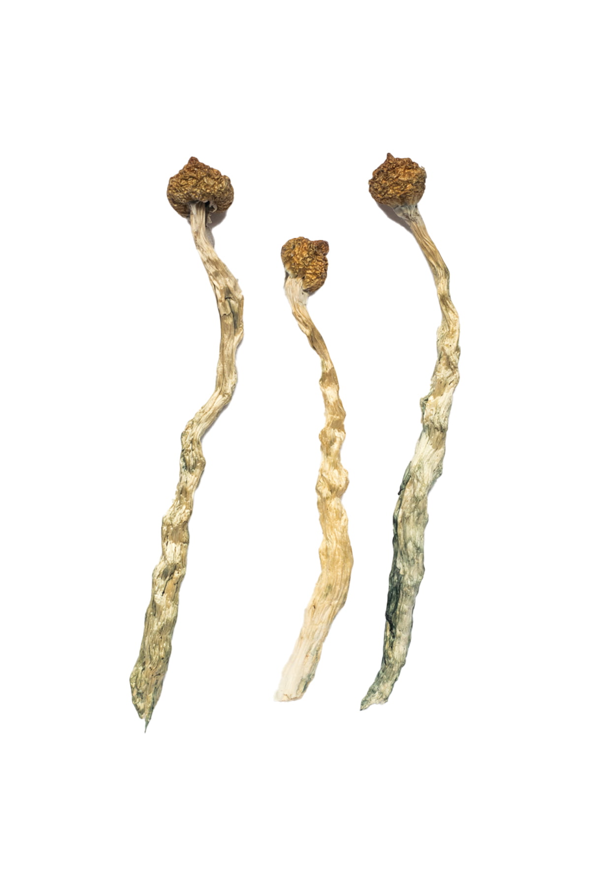 arenal-volcano-magic-mushrooms