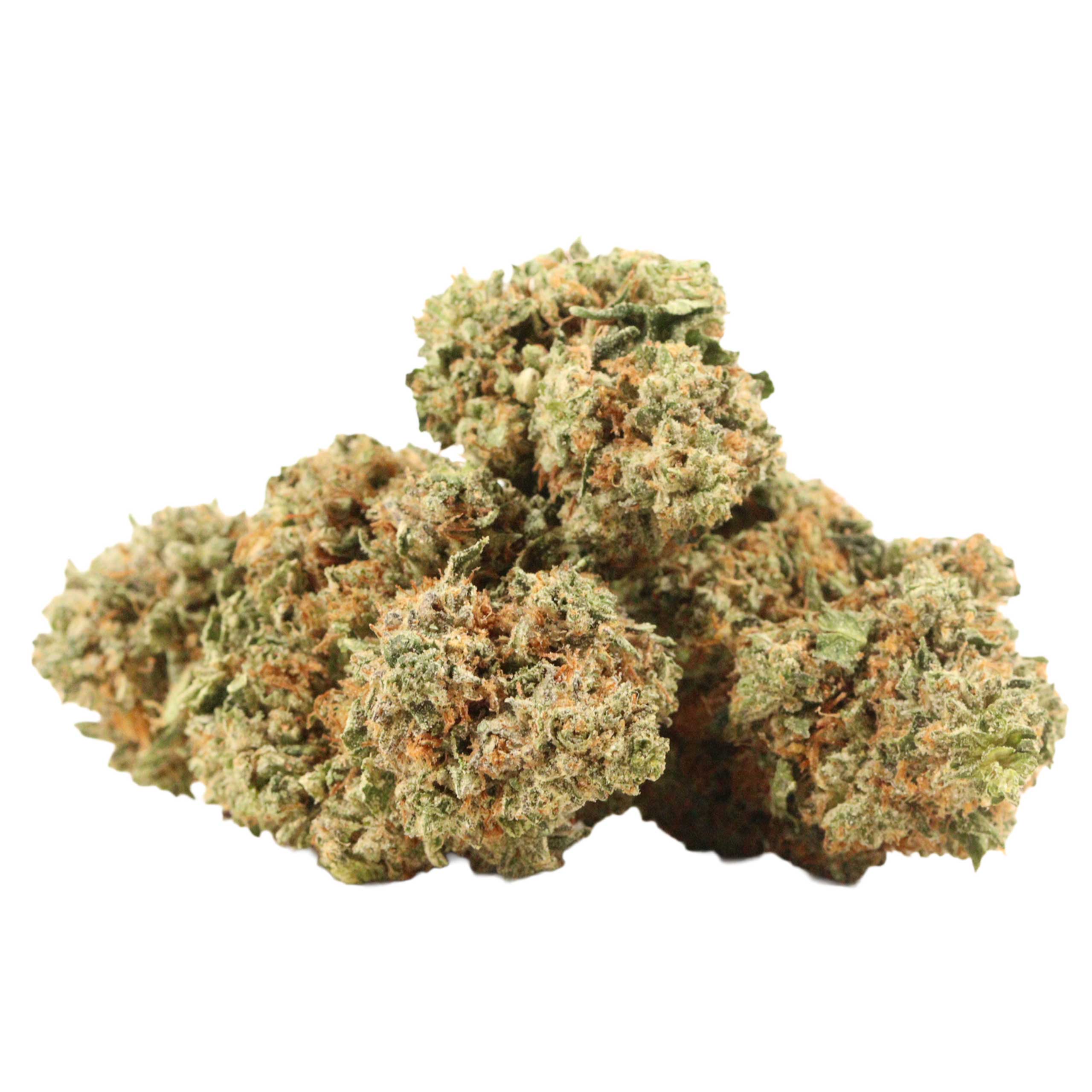 94-monkey-strain