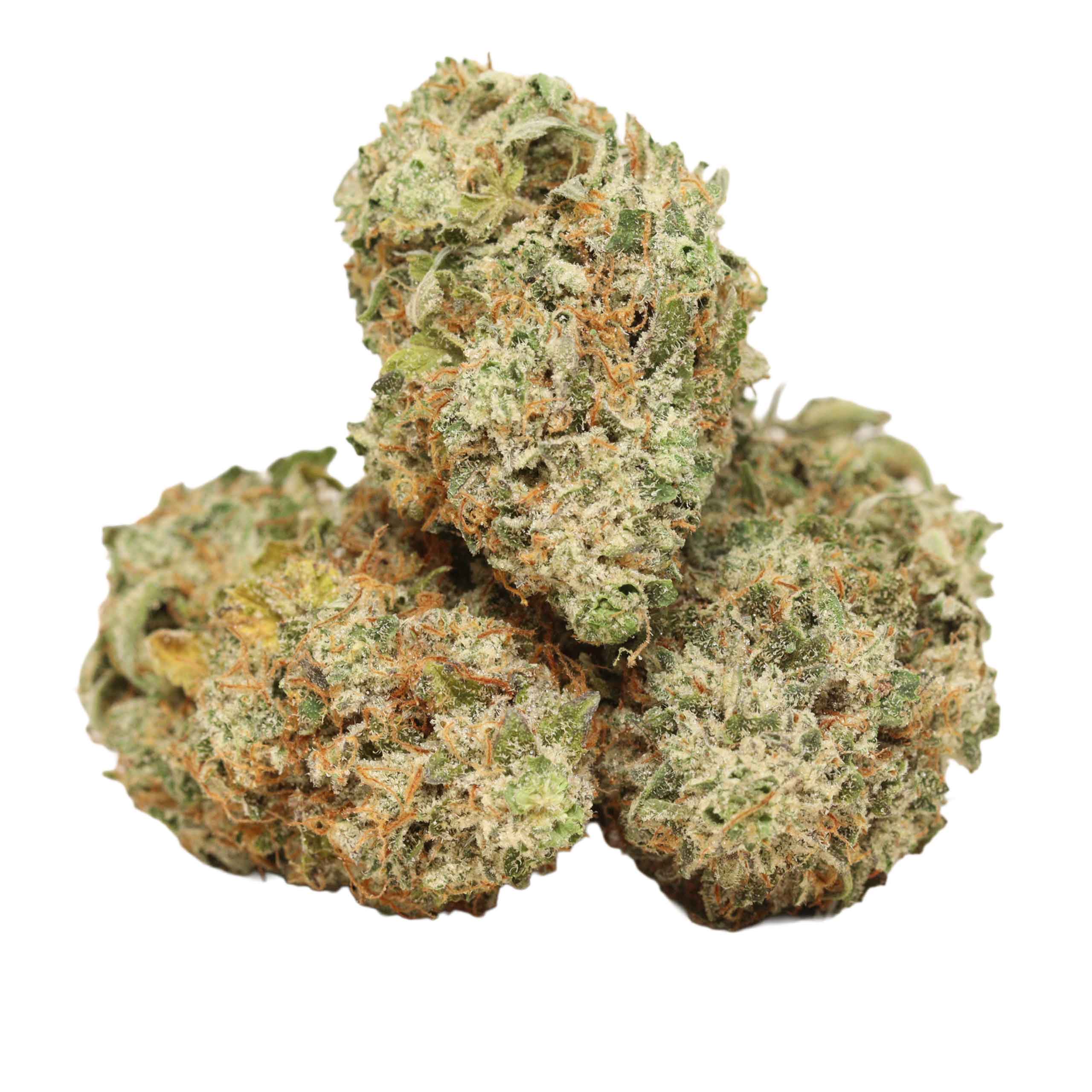 Afghani-pink-strain