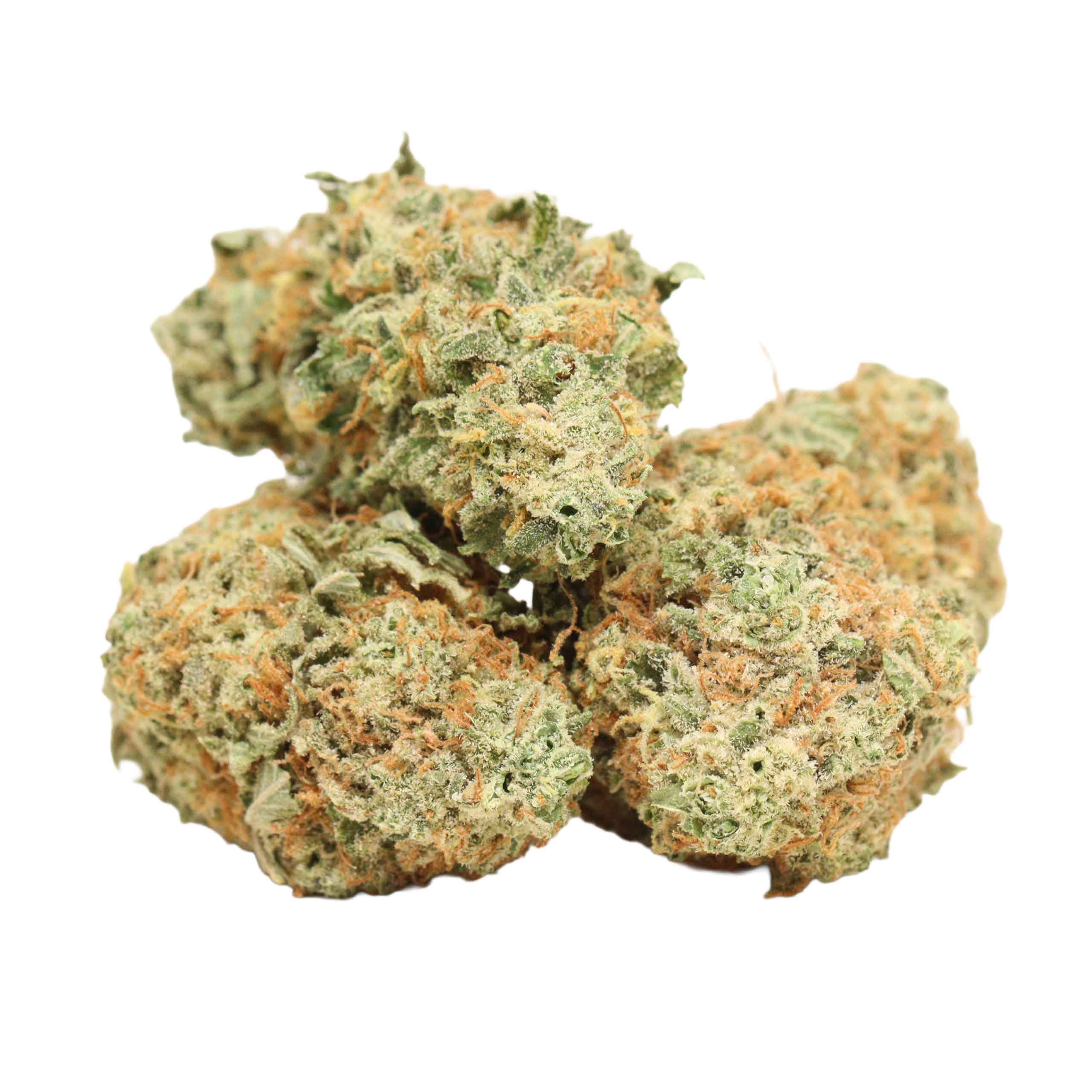Gelato-strain