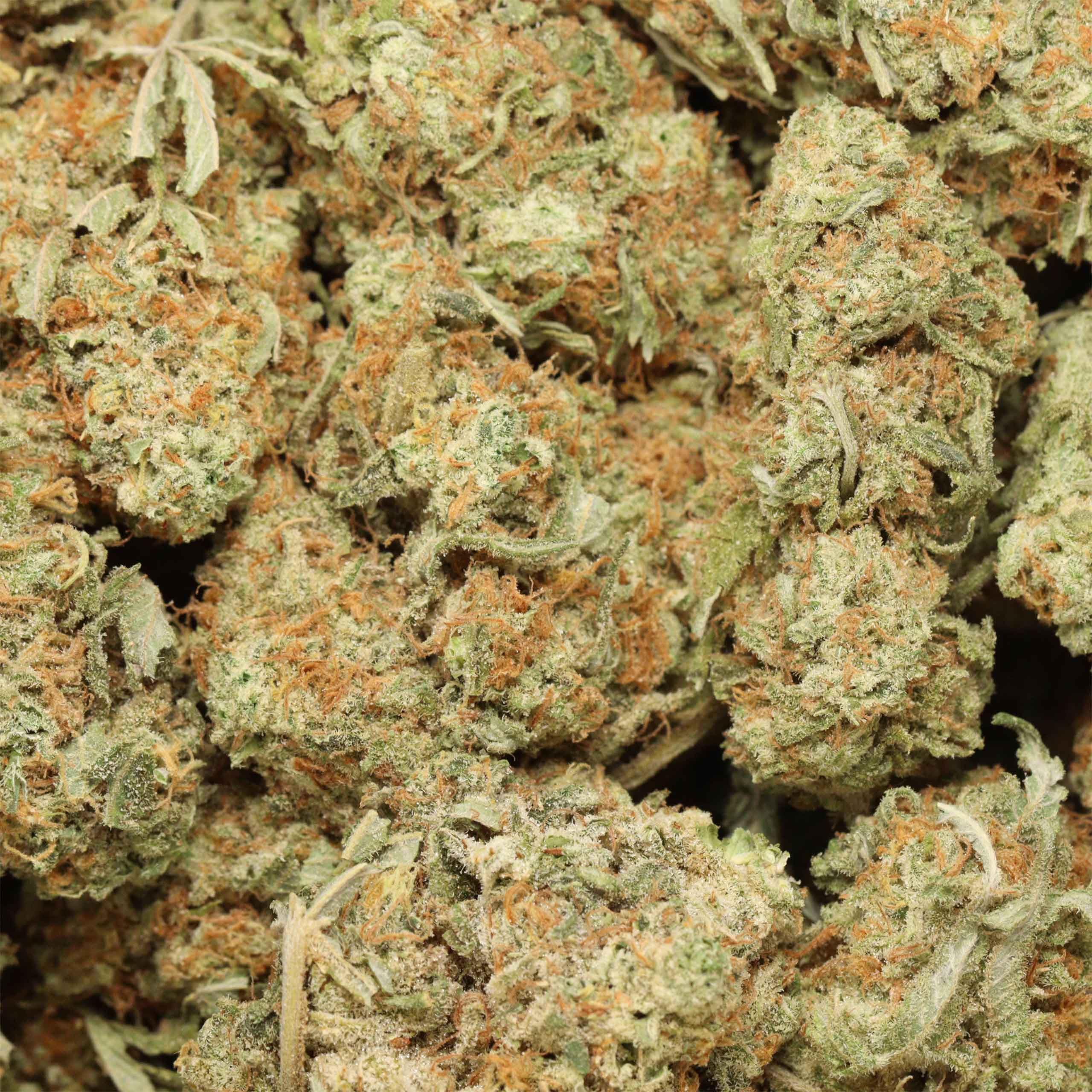 Gelato-w