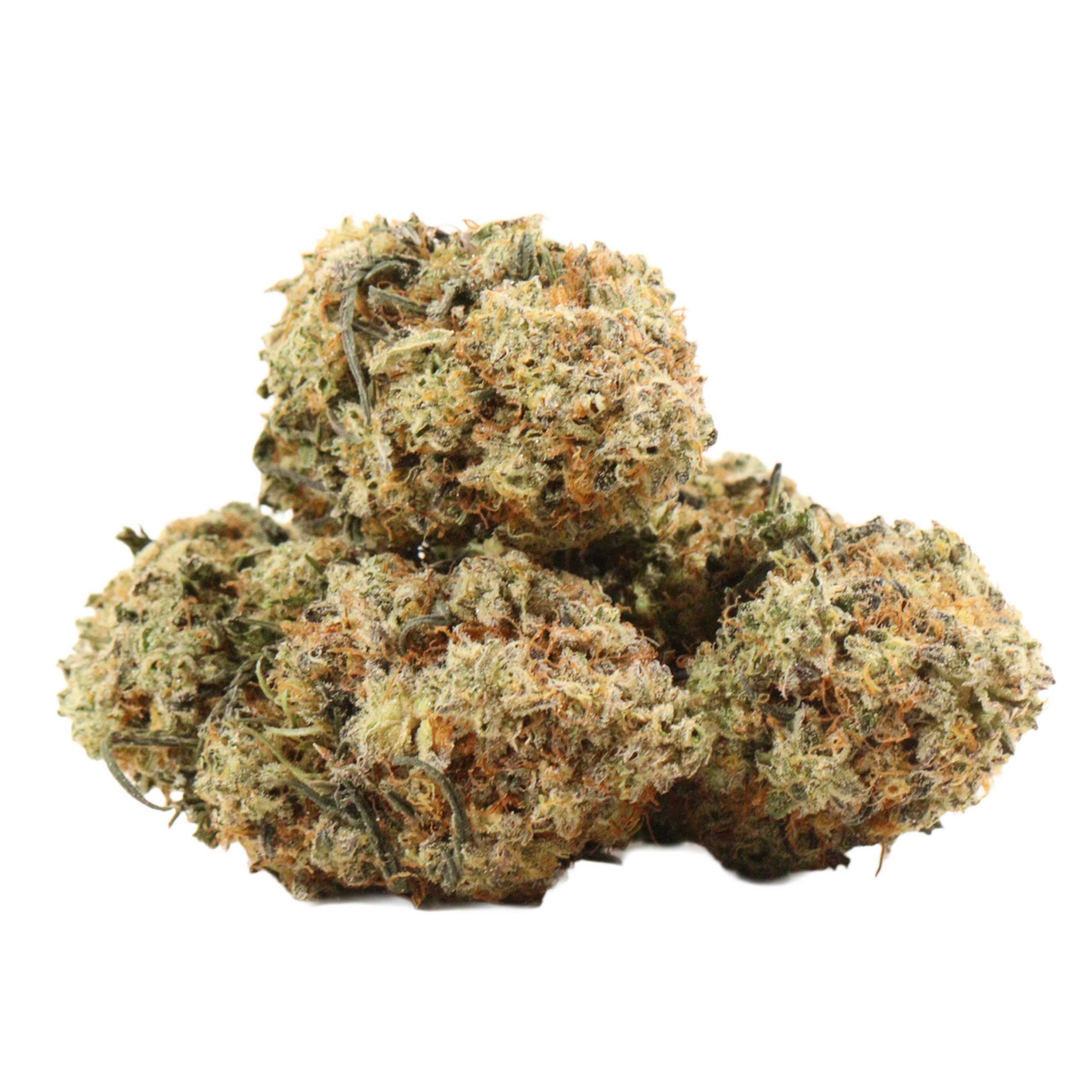 london-truffle-strain