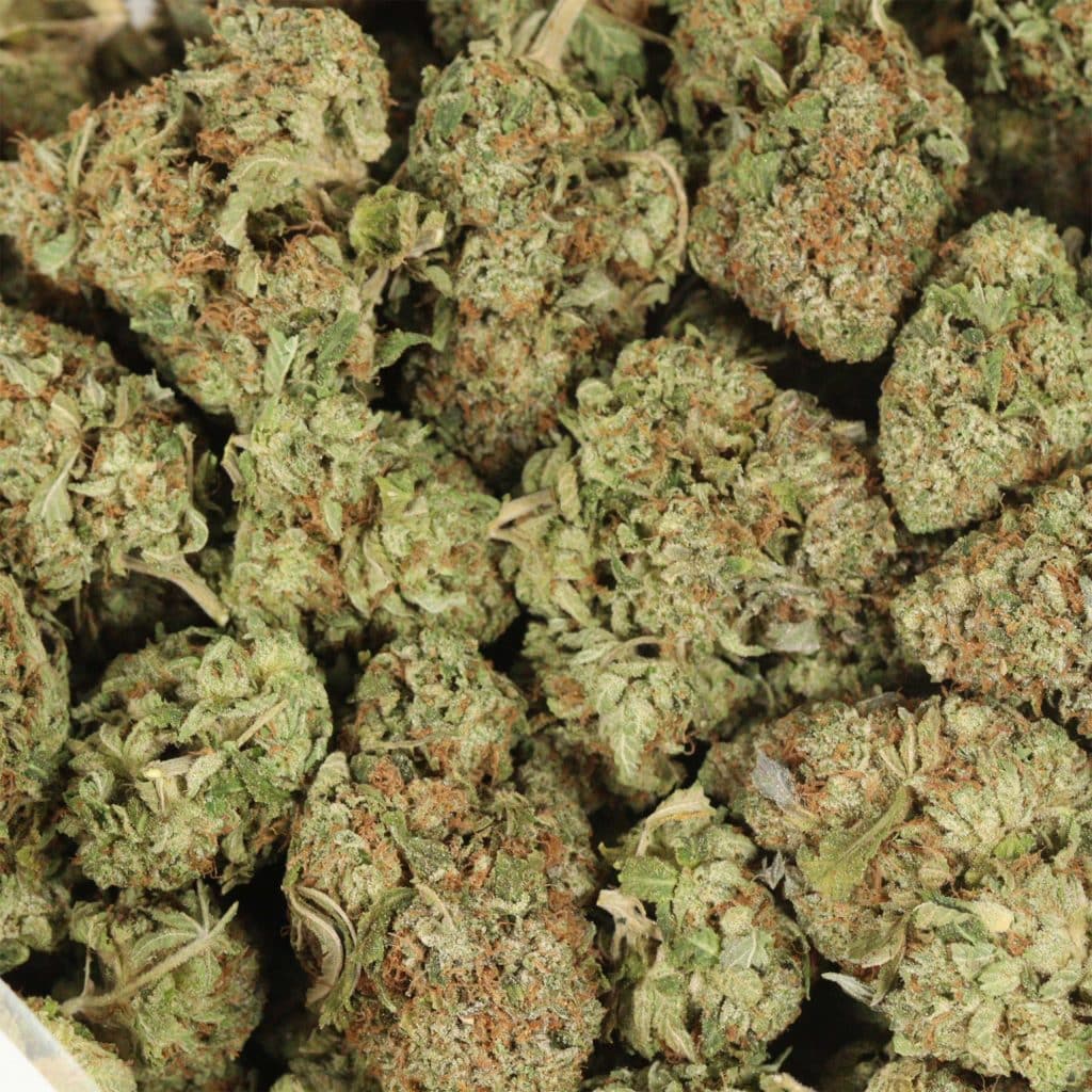 pink-og-w-1024x1024